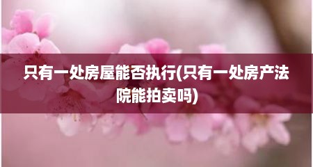 只有一处房屋能否执行(只有一处房产法院能拍卖吗)