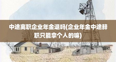 中途离职企业年金退吗(企业年金中途辞职只能拿个人的嘛)