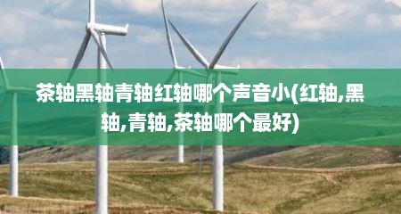 茶轴黑轴青轴红轴哪个声音小(红轴,黑轴,青轴,茶轴哪个最好)