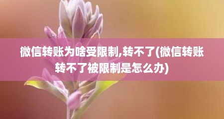 微信转账为啥受限制,转不了(微信转账转不了被限制是怎么办)