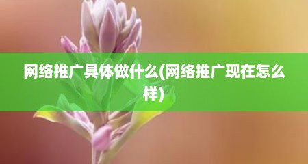 网络推广具体做什么(网络推广现在怎么样)