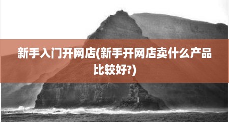 新手入门开网店(新手开网店卖什么产品比较好?)