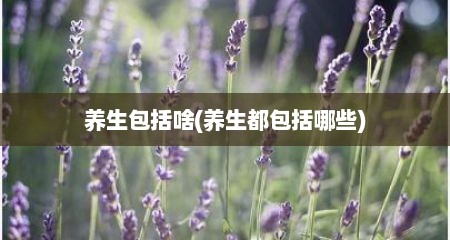 养生包括啥(养生都包括哪些)