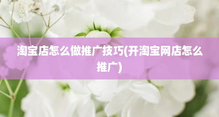 淘宝店怎么做推广技巧(开淘宝网店怎么推广)