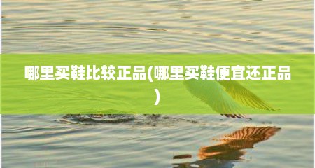 哪里买鞋比较正品(哪里买鞋便宜还正品)