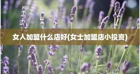 女人加盟什么店好(女士加盟店小投资)