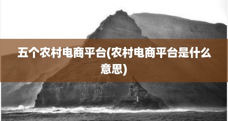 五个农村电商平台(农村电商平台是什么意思)