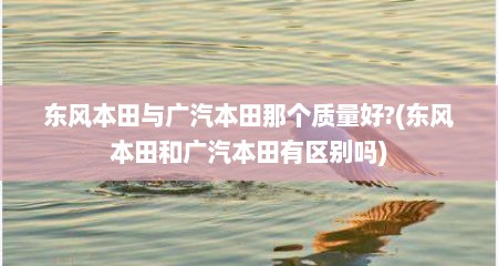 东风本田与广汽本田那个质量好?(东风本田和广汽本田有区别吗)