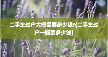二手车过户大概需要多少钱?(二手车过户一般要多少钱)