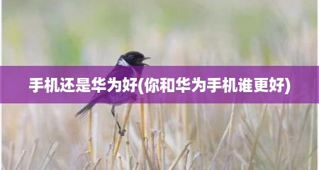 手机还是华为好(你和华为手机谁更好)