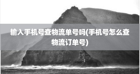 输入手机号查物流单号吗(手机号怎么查物流订单号)