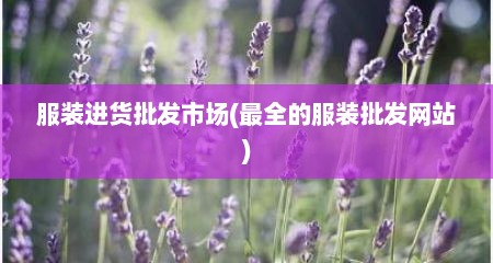 服装进货批发市场(最全的服装批发网站)