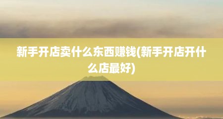 新手开店卖什么东西赚钱(新手开店开什么店最好)
