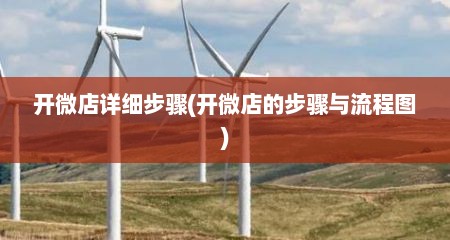 开微店详细步骤(开微店的步骤与流程图)