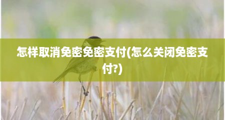 怎样取消免密免密支付(怎么关闭免密支付?)