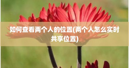 如何查看两个人的位置(两个人怎么实时共享位置)