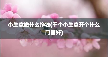 小生意做什么挣钱(干个小生意开个什么门面好)
