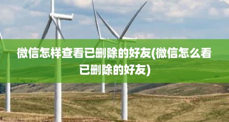 微信怎样查看已删除的好友(微信怎么看已删除的好友)