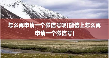 怎么再申请一个微信号呢(微信上怎么再申请一个微信号)