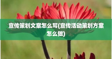 宣传策划文案怎么写(宣传活动策划方案怎么做)