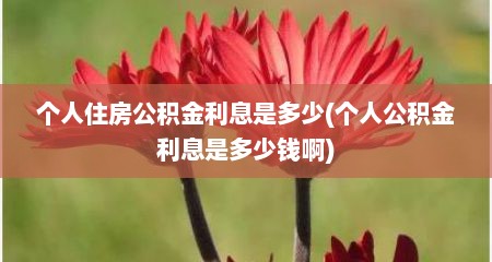 个人住房公积金利息是多少(个人公积金利息是多少钱啊)