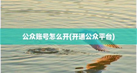 公众账号怎么开(开通公众平台)