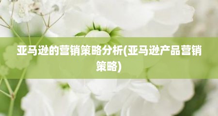 亚马逊的营销策略分析(亚马逊产品营销策略)