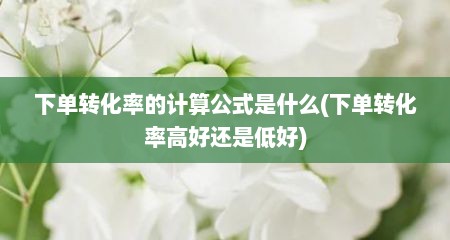 下单转化率的计算公式是什么(下单转化率高好还是低好)