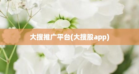 大搜推广平台(大搜股app)