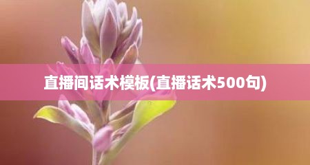 直播间话术模板(直播话术500句)