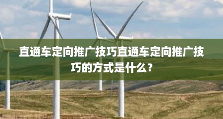 直通车定向推广技巧直通车定向推广技巧的方式是什么？