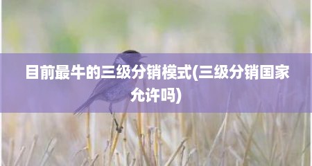 目前最牛的三级分销模式(三级分销国家允许吗)