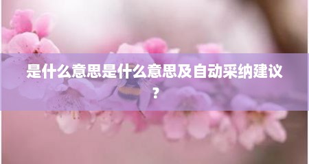 是什么意思是什么意思及自动采纳建议？