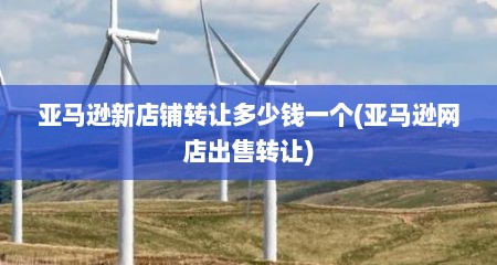 亚马逊新店铺转让多少钱一个(亚马逊网店出售转让)