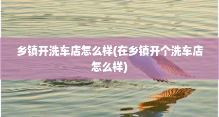 乡镇开洗车店怎么样(在乡镇开个洗车店怎么样)