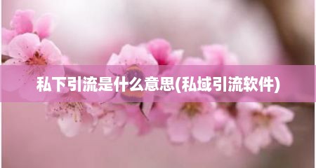 私下引流是什么意思(私域引流软件)