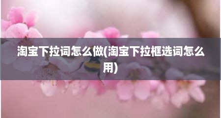 淘宝下拉词怎么做(淘宝下拉框选词怎么用)