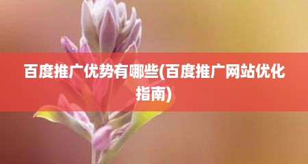 百度推广优势有哪些(百度推广网站优化指南)