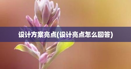 设计方案亮点(设计亮点怎么回答)