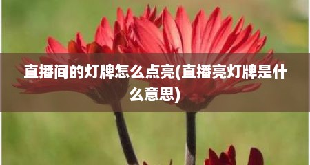 直播间的灯牌怎么点亮(直播亮灯牌是什么意思)