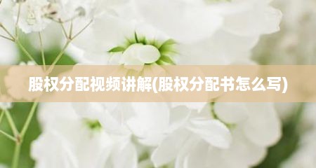 股权分配视频讲解(股权分配书怎么写)
