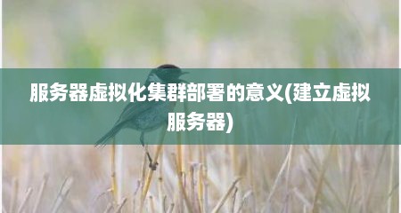 服务器虚拟化集群部署的意义(建立虚拟服务器)