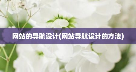 网站的导航设计(网站导航设计的方法)