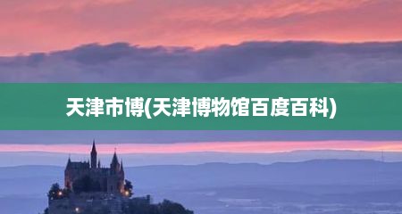 天津市博(天津博物馆百度百科)