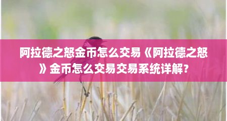 阿拉德之怒金币怎么交易《阿拉德之怒》金币怎么交易交易系统详解？