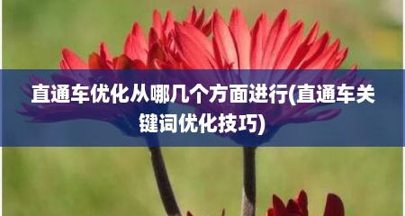 直通车优化从哪几个方面进行(直通车关键词优化技巧)