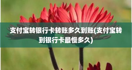 支付宝转银行卡转账多久到账(支付宝转到银行卡最慢多久)