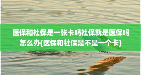 医保和社保是一张卡吗社保就是医保吗怎么办(医保和社保是不是一个卡)