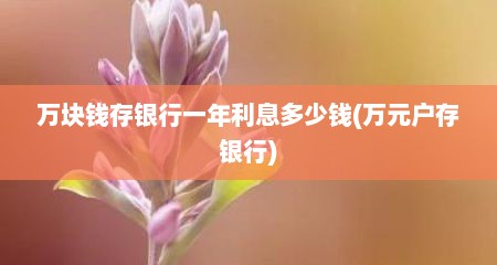 万块钱存银行一年利息多少钱(万元户存银行)
