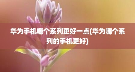 华为手机哪个系列更好一点(华为哪个系列的手机更好)